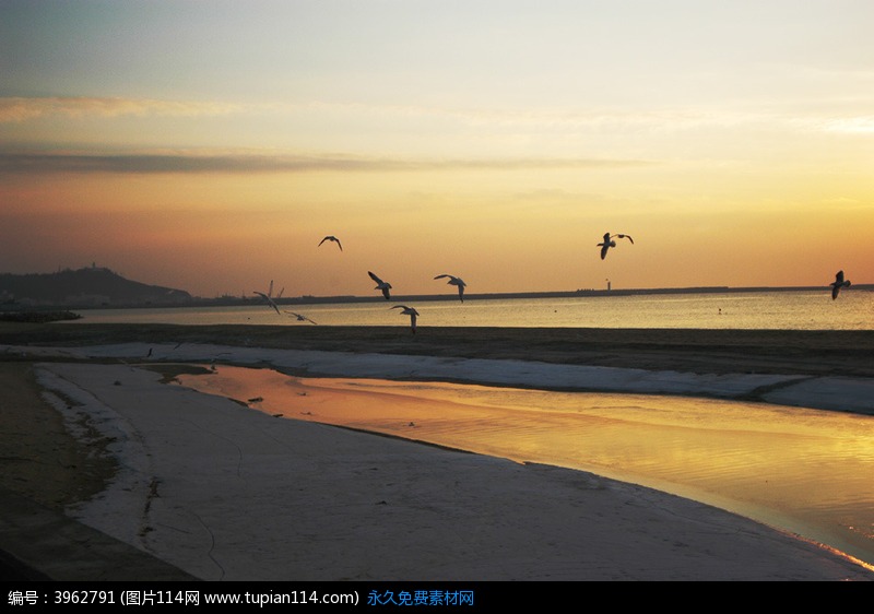 北風吹不過你掌心的海