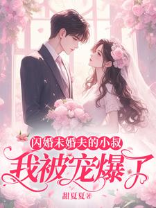 閃婚前妻小說